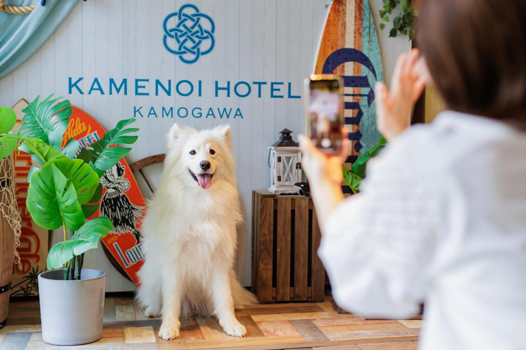 Kamenoi Hotel Камоґава Екстер'єр фото